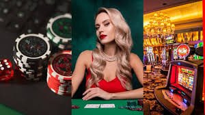 pingolbet app